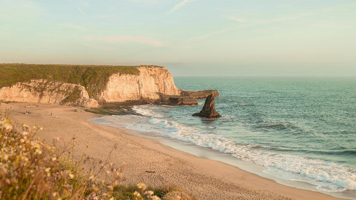 Beautiful sunset at a coastal beach in Santa Cruz, CA with cliffs and wildflowers. via Pexels