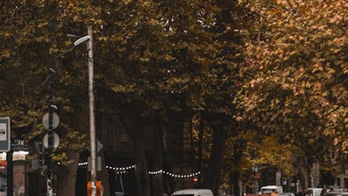 Volkswagen car on a cobblestone street amidst autumn foliage in a charming town. via Pexels