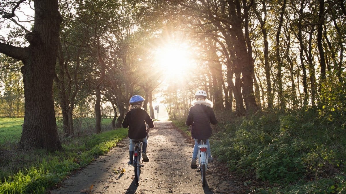 girls, bicycle, helmets, bicycle lane, trees, undergrowth, park, woods, safety, sunny, sunset, bike path, bike, people, cyclists, road, ride, biking, riding a bike, outdoors, nature, bicycle, bicycle, bicycle, safety, safety, safety, safety, safety, sunny, bike, bike, bike, bike, biking, biking, biking via Pixabay