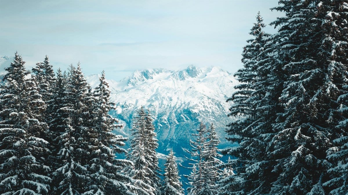 Scenic winter landscape in Megève, France, showcasing snow-covered trees and distant mountains. via Pexels