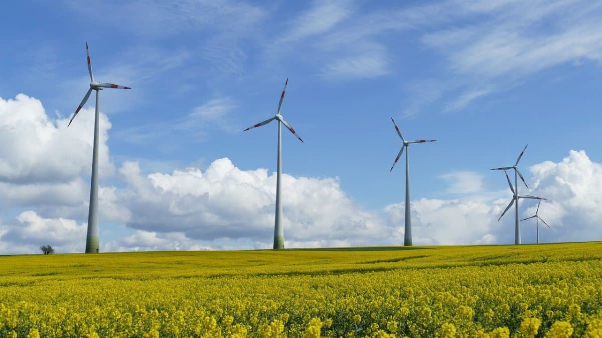 wind power, landscape, beautiful flowers, clouds, heaven, green, blue, beautiful, oilseed rape, rape blossom, crop, rapeseed oil, sunbeams, meadow, flower background, nature, flower, flower wallpaper, field, rural, plant, yellow, wind power, wind power, wind power, wind power, wind power via Pixabay