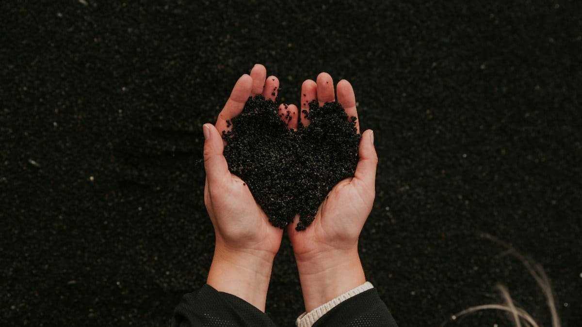 A close-up of hands holding black sand in a heart shape, symbolizing care for nature. via Pexels
