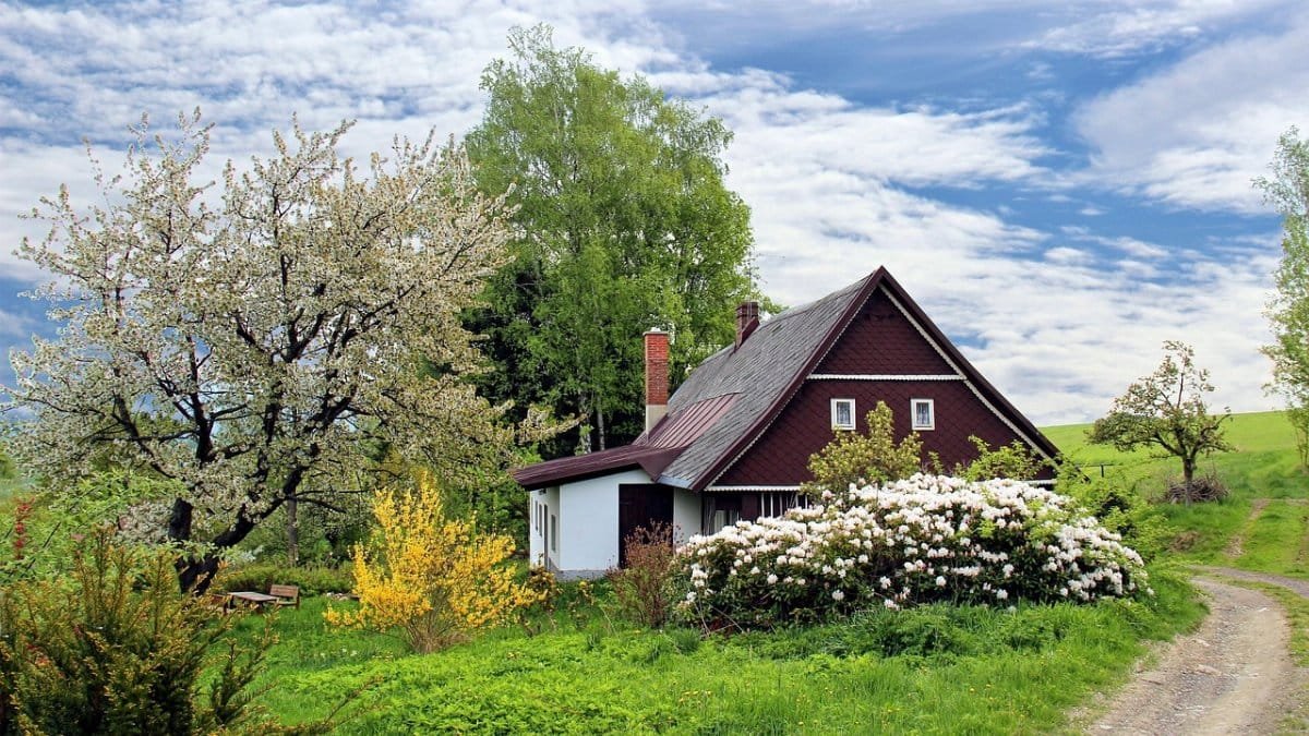 cottage, trees, path, trail, house, home, garden, grass, landscape, secluded, nature, cottage, house, house, house, house, house, home, home, home, garden, garden, garden, garden via Pixabay