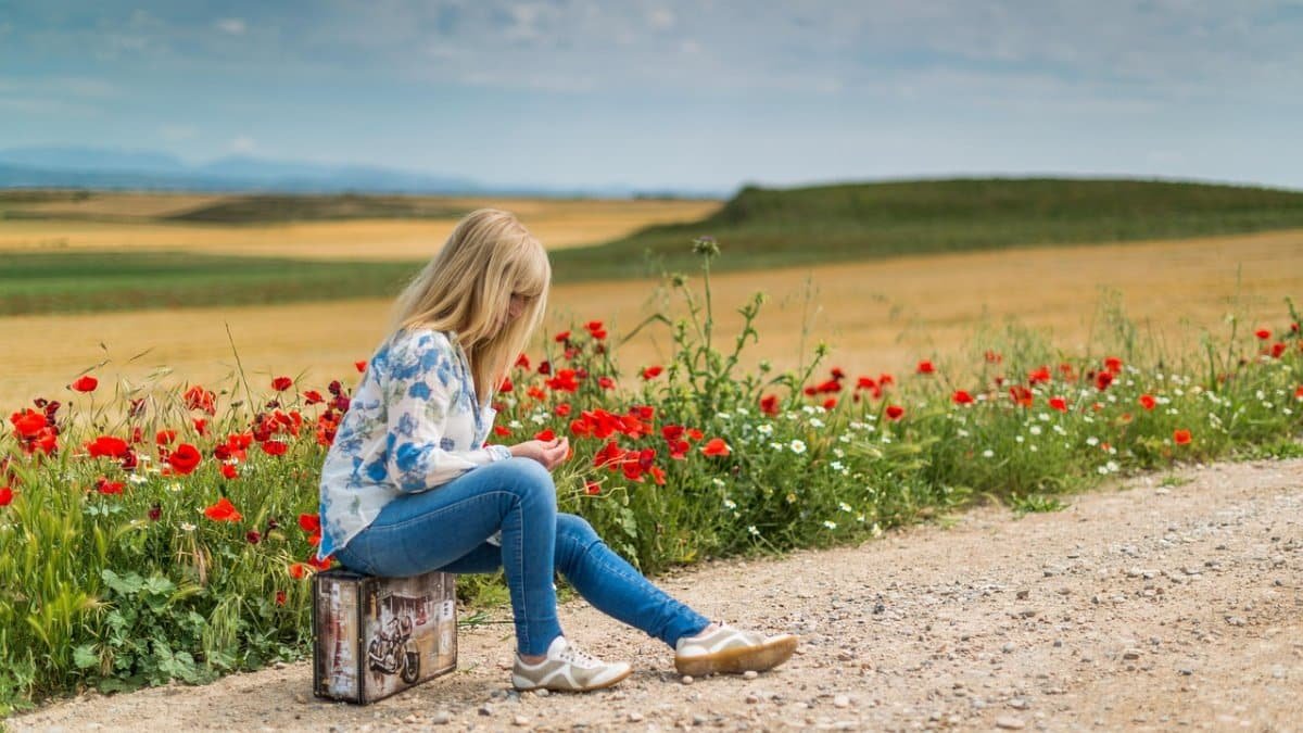 suitcase, woman, girl, waiting, journey, person, sitting, young, landscape, alone, thoughtful, nature, path, side of the road, suitcase, waiting, waiting, waiting, waiting, waiting, journey, journey, journey, journey, alone, alone, alone, alone, path via Pixabay
