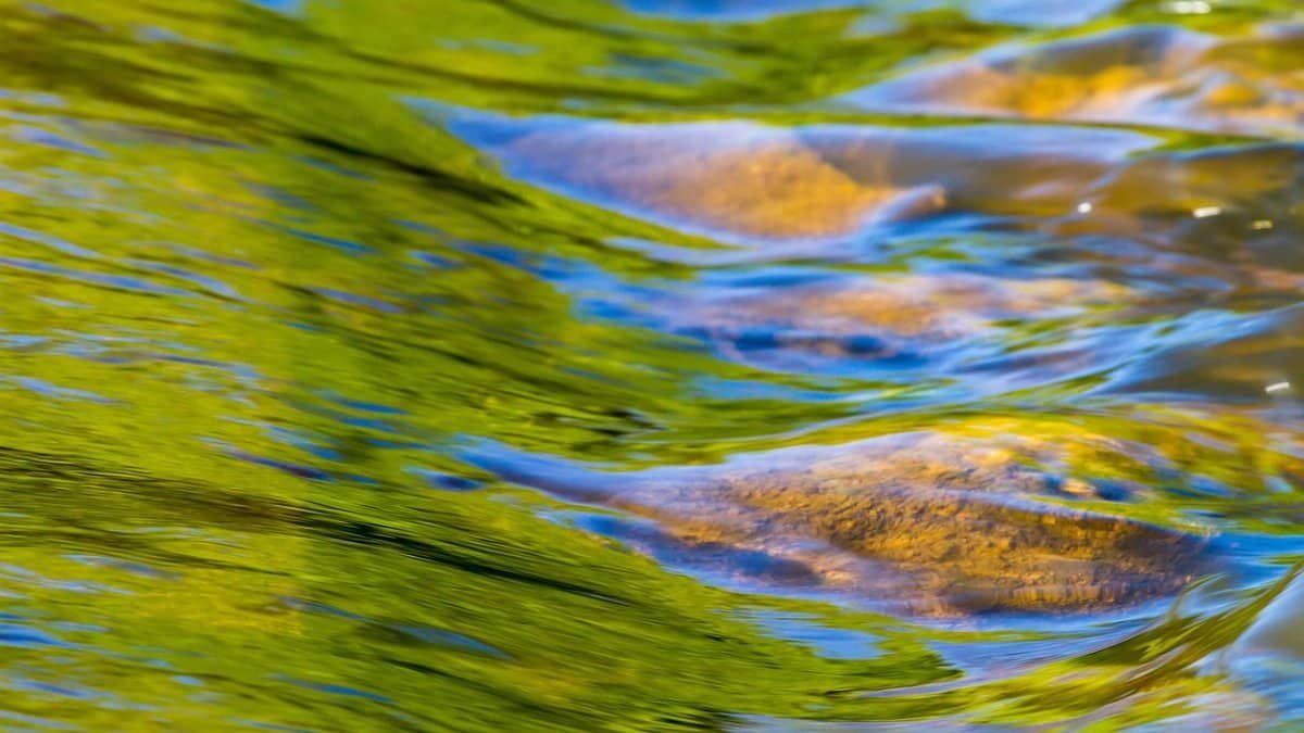 river, flow, water, stone, reflection, bottom dam, river, river, flow, flow, nature, flow, flow, flow, stone via Pixabay