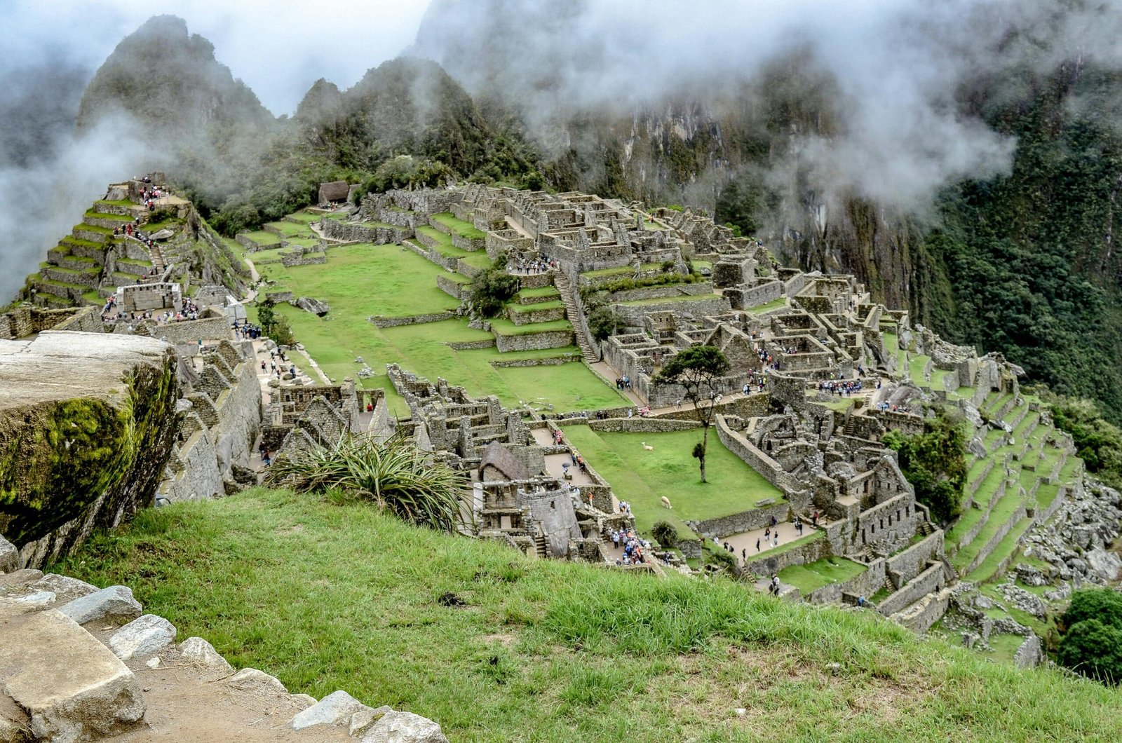 Green grass field near mountain