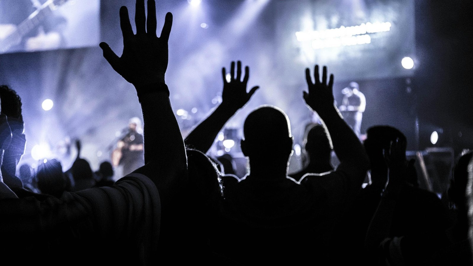 Group of people raising hands silhouette photography