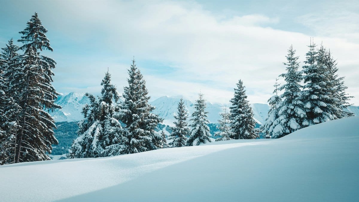 Tranquil winter scene of snow-covered trees in Megève, France amidst the Alps. via Pexels