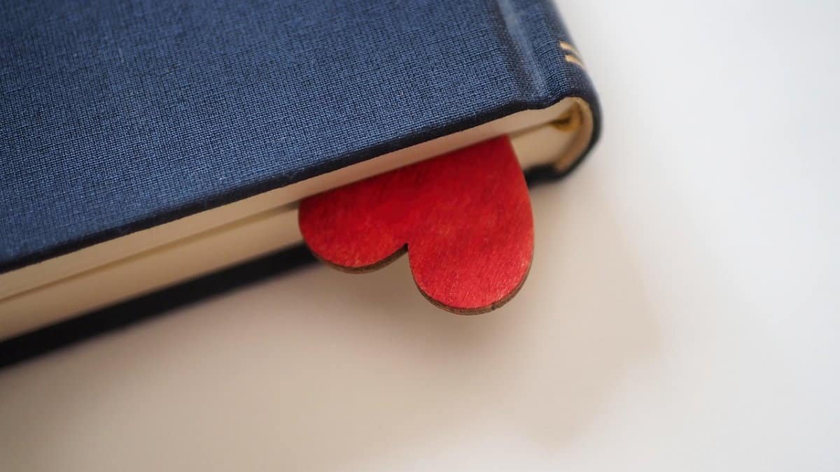 heart,  valentine's day,  love,  romance,  romantic,  a book via Pixabay