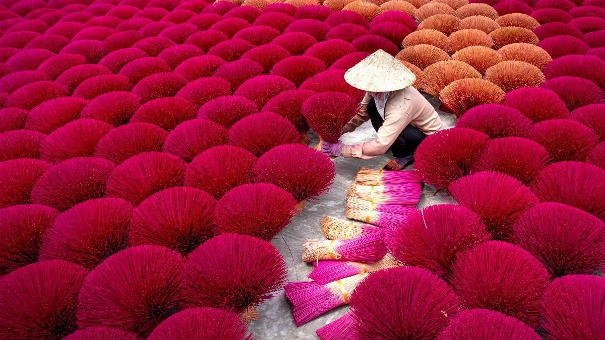 A worker arranges vibrant incense sticks drying outdoors in Hanoi, Vietnam. via Pexels