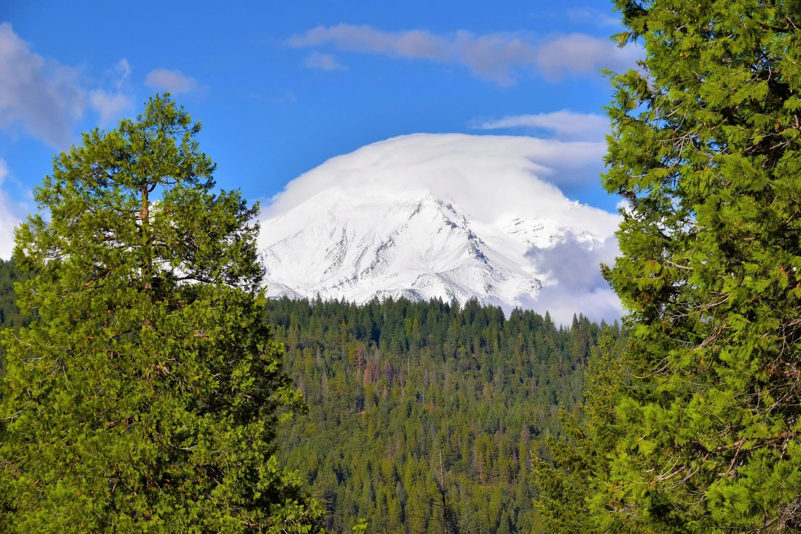 Snow covered mountain under blue sky