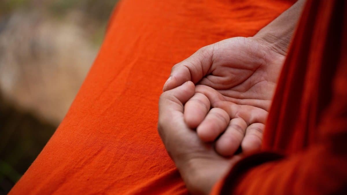 monk, meditation, hands, posture, yoga, sri lanka, mudra, meditation, meditation, meditation, meditation, meditation, yoga via Pixabay