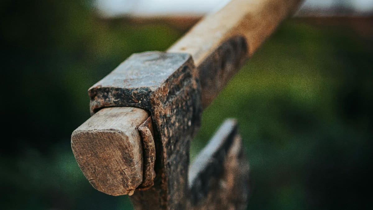 Close-up of an axe embedded in a tree stump, highlighting rustic craftsmanship. via Pexels