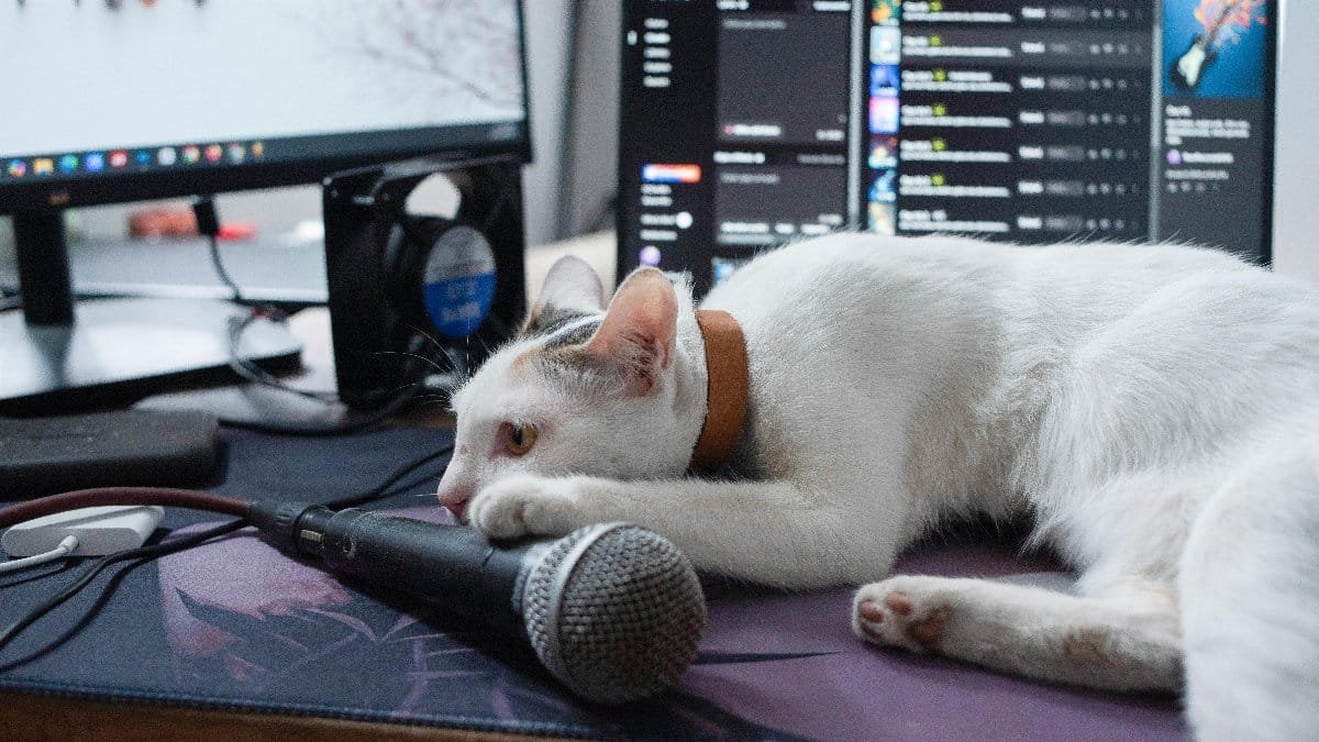 Too lazy to record, Papa! via Pexels