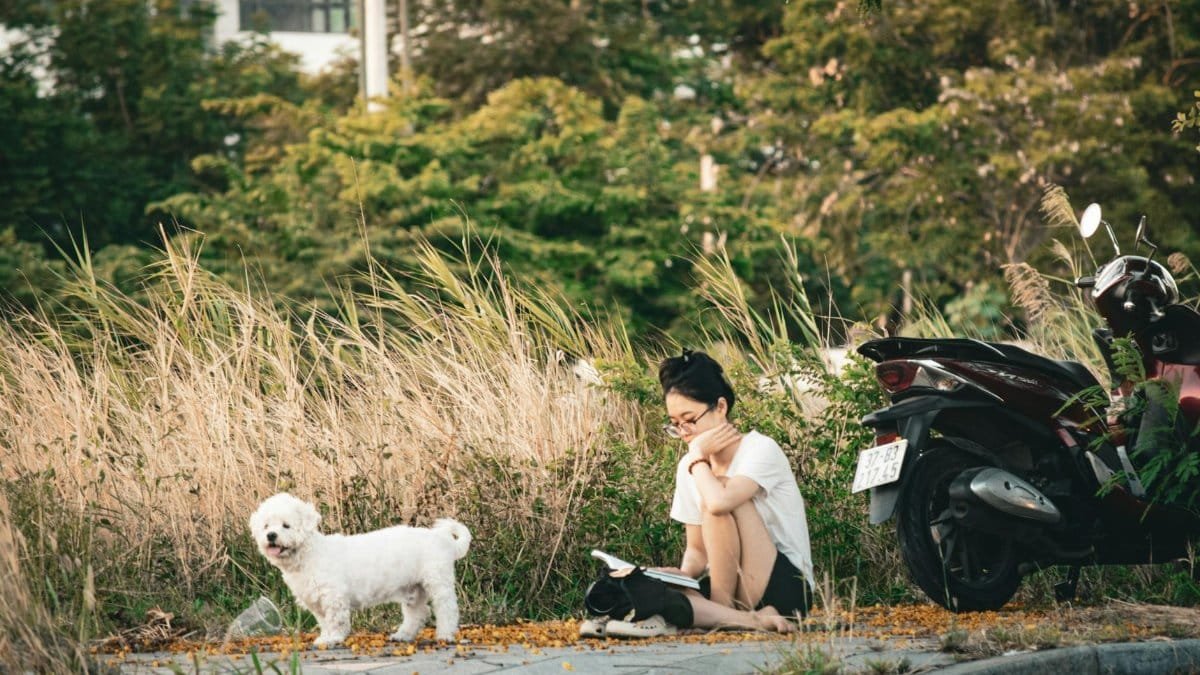 Relaxing scene of woman reading outdoors with dog and scooter, surrounded by nature.