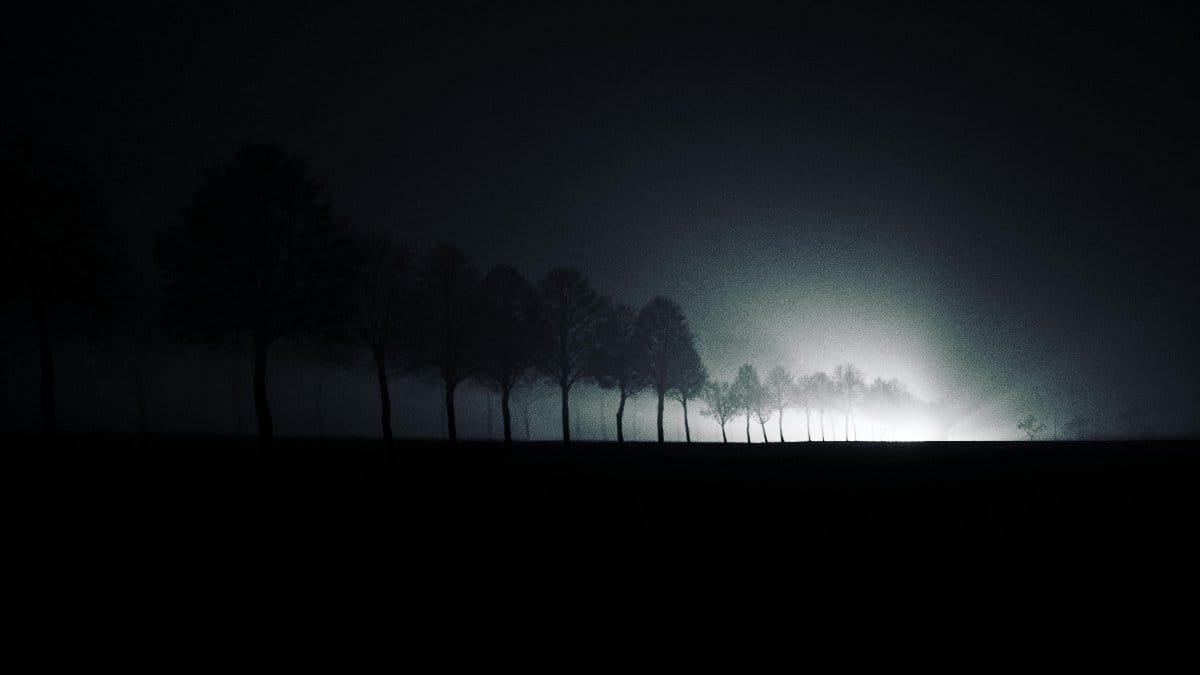 Row of silhouetted trees at night, enveloped in fog and backlit by misty light, creating a mysterious atmosphere.