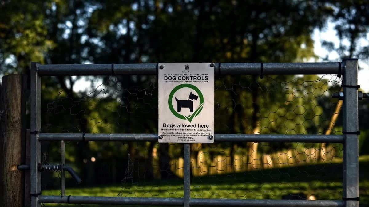 Iron gate with a dog control sign in a sunny park in Stoke-on-Trent, England.