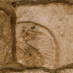 Close-up of an ancient dragon carving on textured stone, suggesting historical mystery.