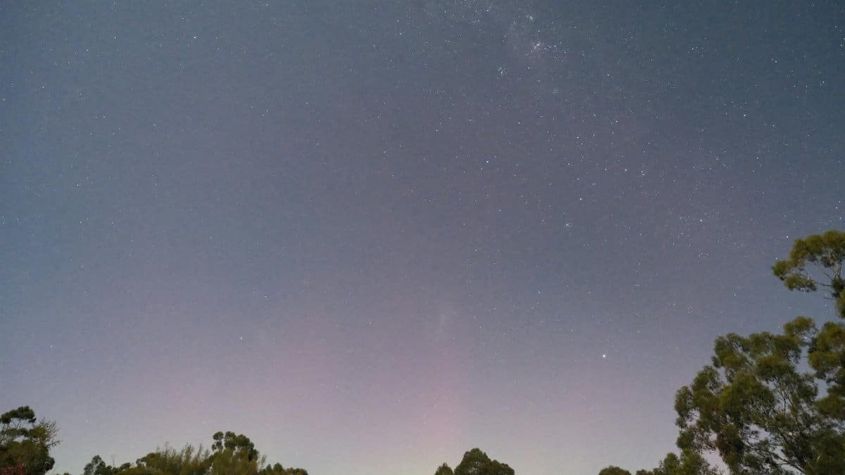 Beautiful view of a starry night sky above a tranquil Australian forest landscape.