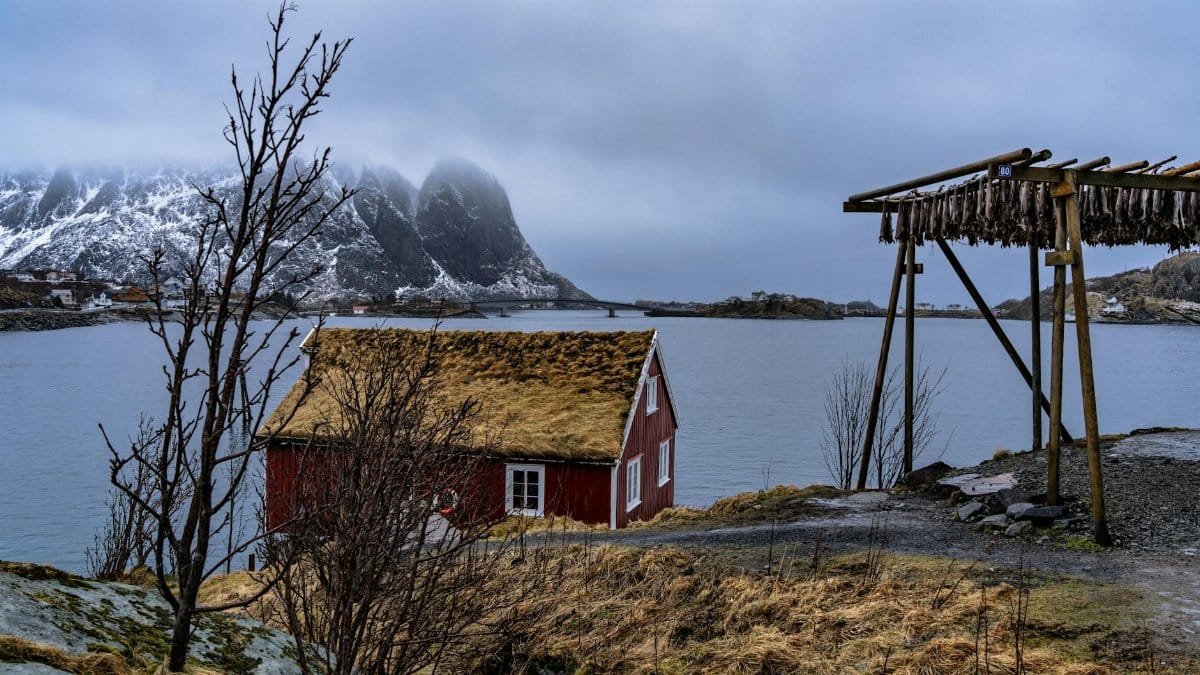 Serene winter landscape of Nordland, featuring a red house by the fjord with snowy mountains.