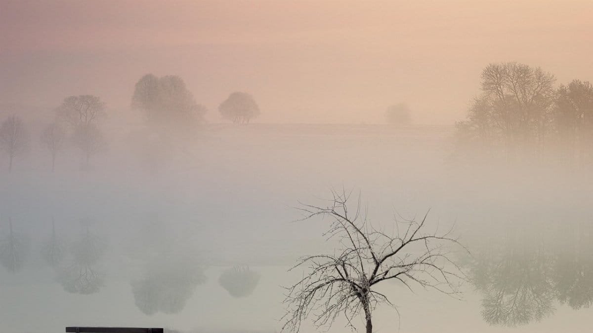 tree, bank, fog, water, lake, winter, ice, snow, mystical, magic, rest, silent, calm, mirroring, reflection, mood, landscape, nature, magic, rest, rest, silent, silent, calm, calm, calm, calm, calm