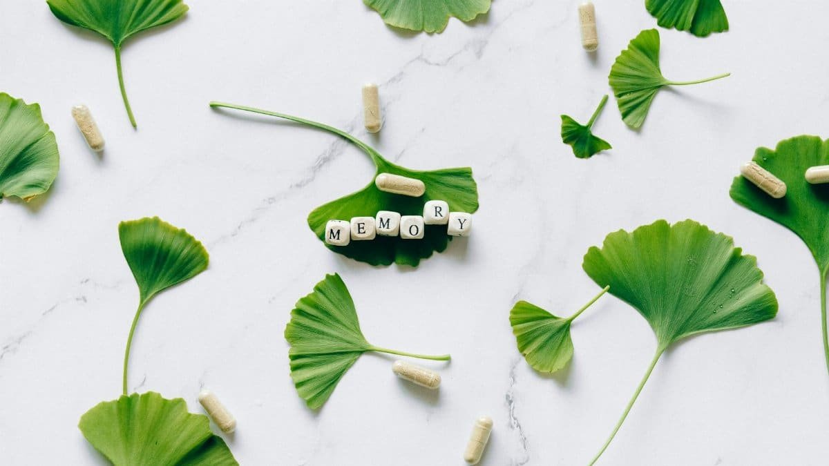 Flat lay of ginkgo leaves with memory capsules on marble surface.
