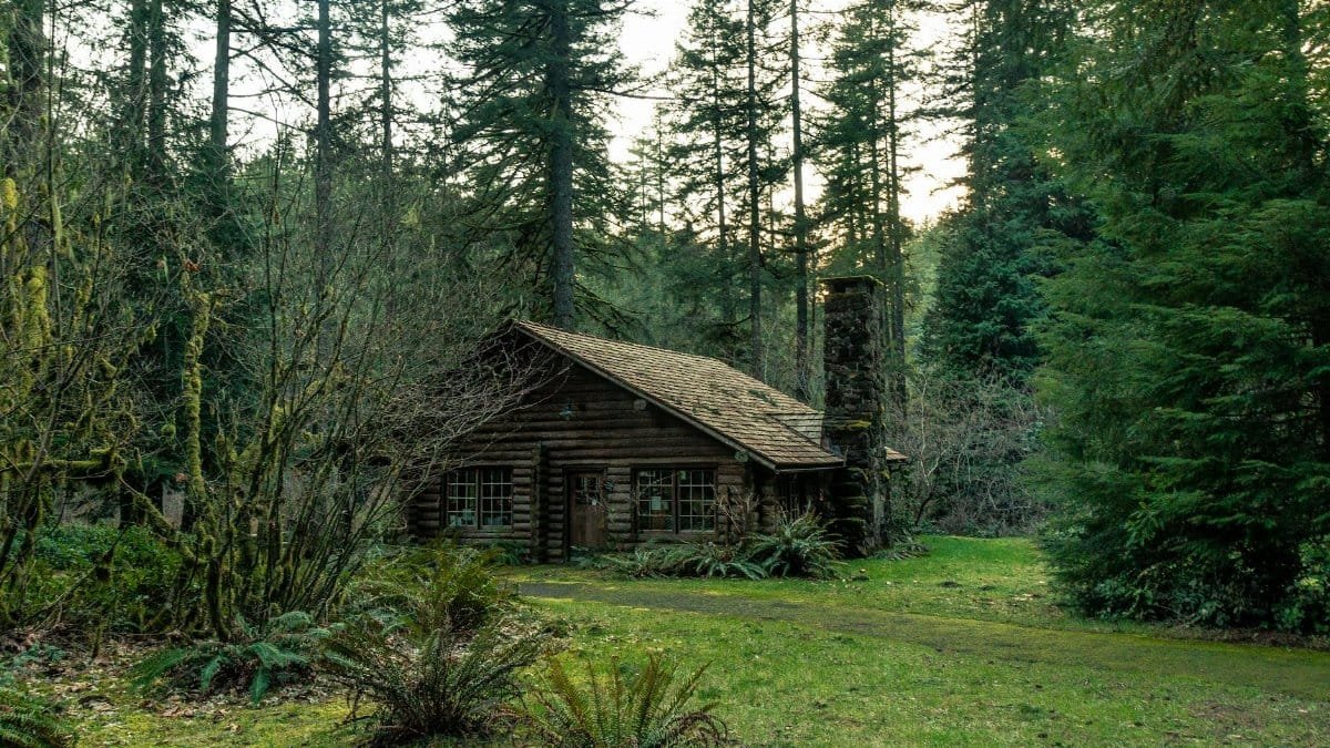 Charming rustic cabin nestled in a lush Oregon forest surrounded by towering trees.