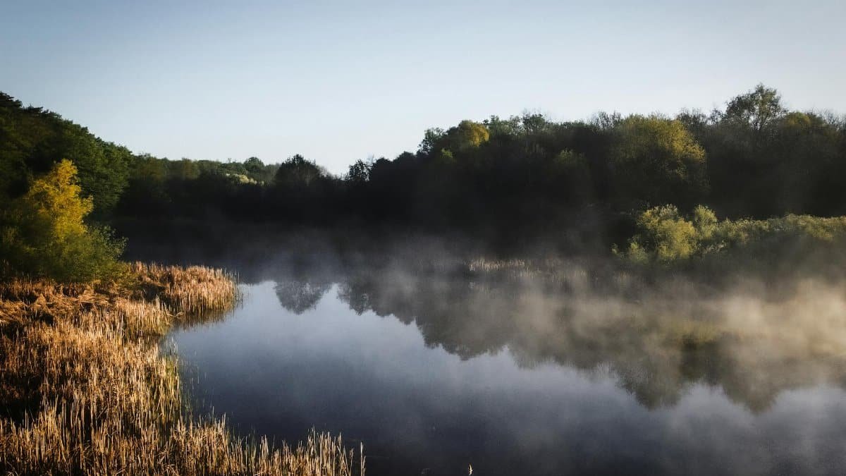 A tranquil scene of a misty lake surrounded by lush, green forest in the early morning light.