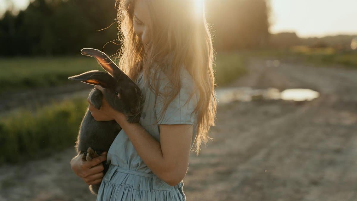 A young girl lovingly holds a rabbit outdoors at sunset, surrounded by picturesque farmland.