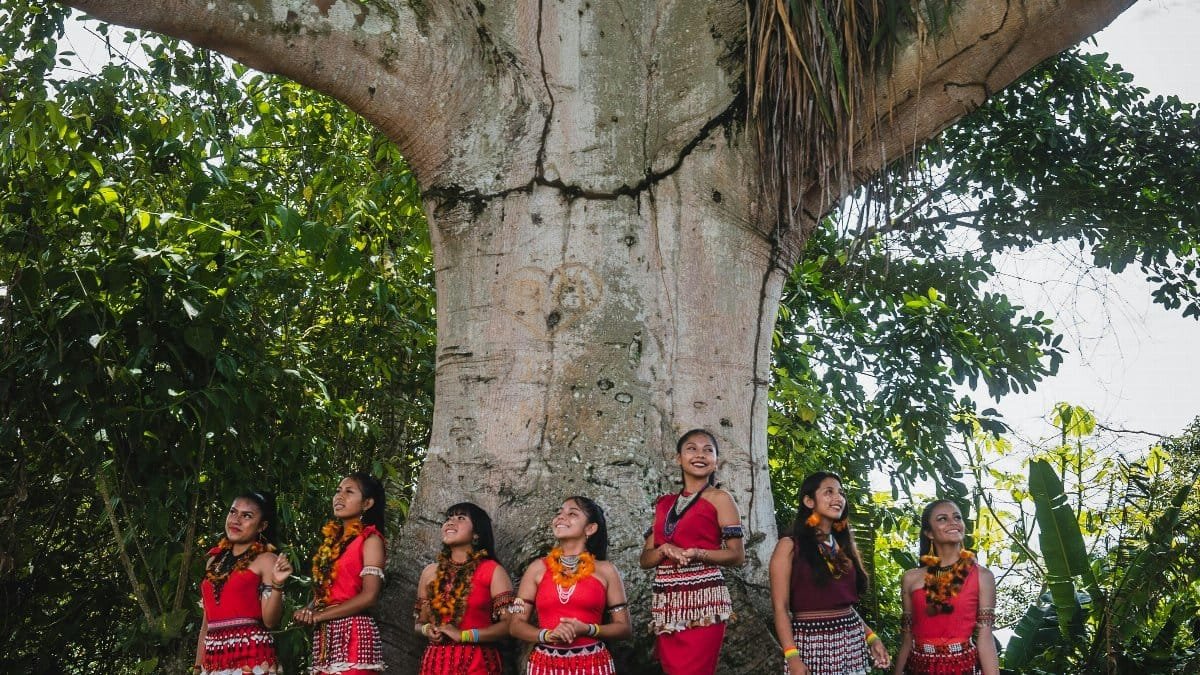 A group of indigenous women in traditional clothing standing by a large tree in a forest setting.