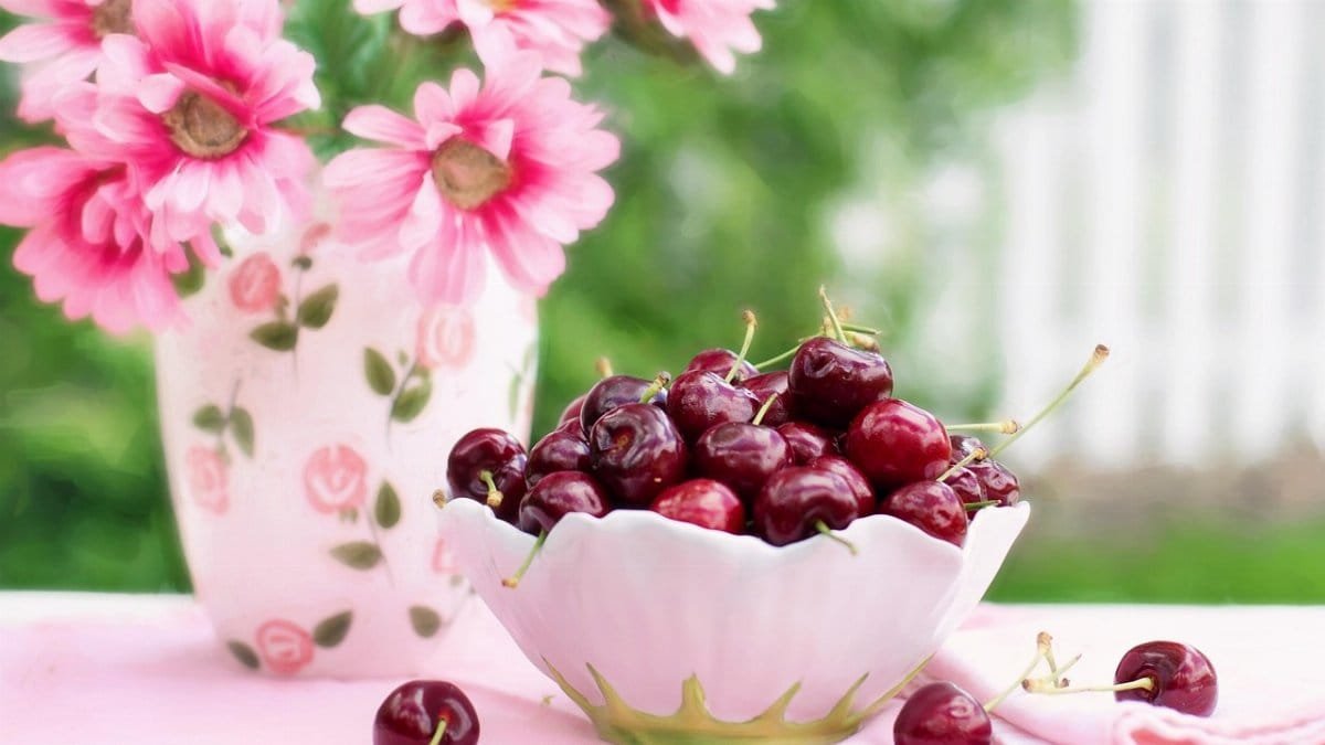 cherries in a bowl,  fruit,  summer,  nature,  breakfast