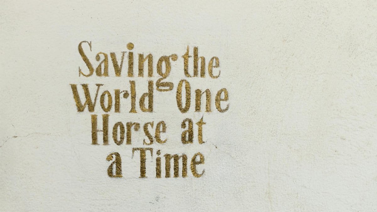 Text 'Saving the World One Horse at a Time' on a textured wall.