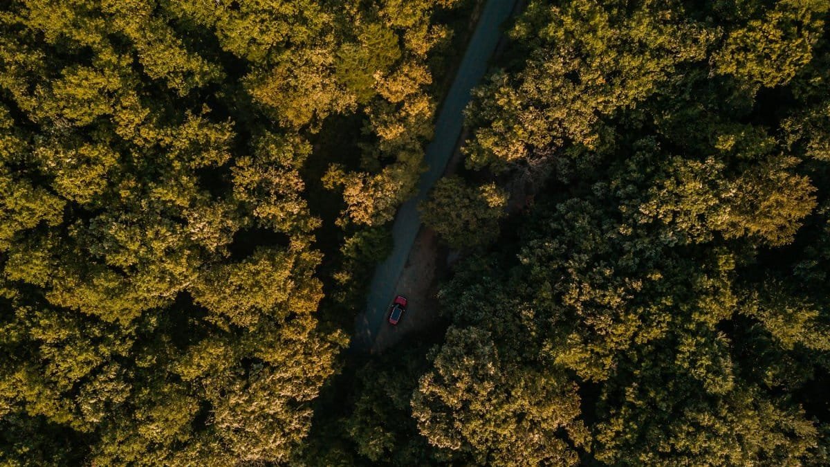 Aerial view of a forest landscape with a winding road and a red car.