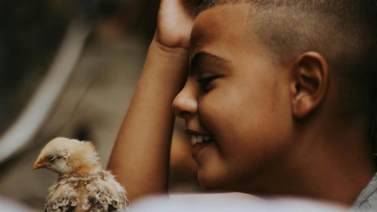 Smiling boy enjoys a moment of connection with a chick, showcasing tenderness and joy.