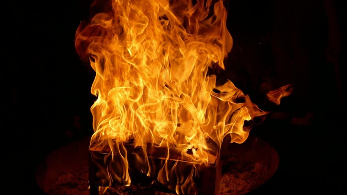 A mesmerizing shot of a bonfire with intense flames against a dark night background.