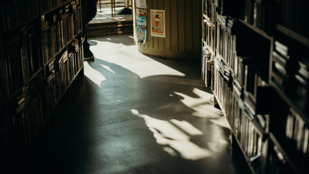 A warm, sunlit library aisle with bookcases casting intriguing shadows.