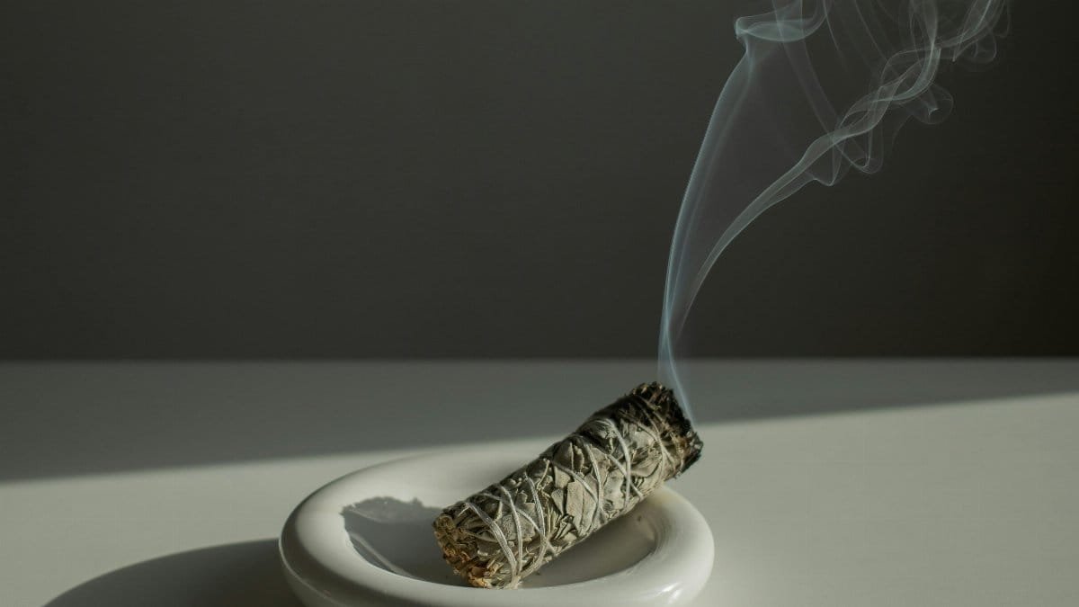 A stick of white sage smolders on a white plate, releasing wisps of smoke into the light.