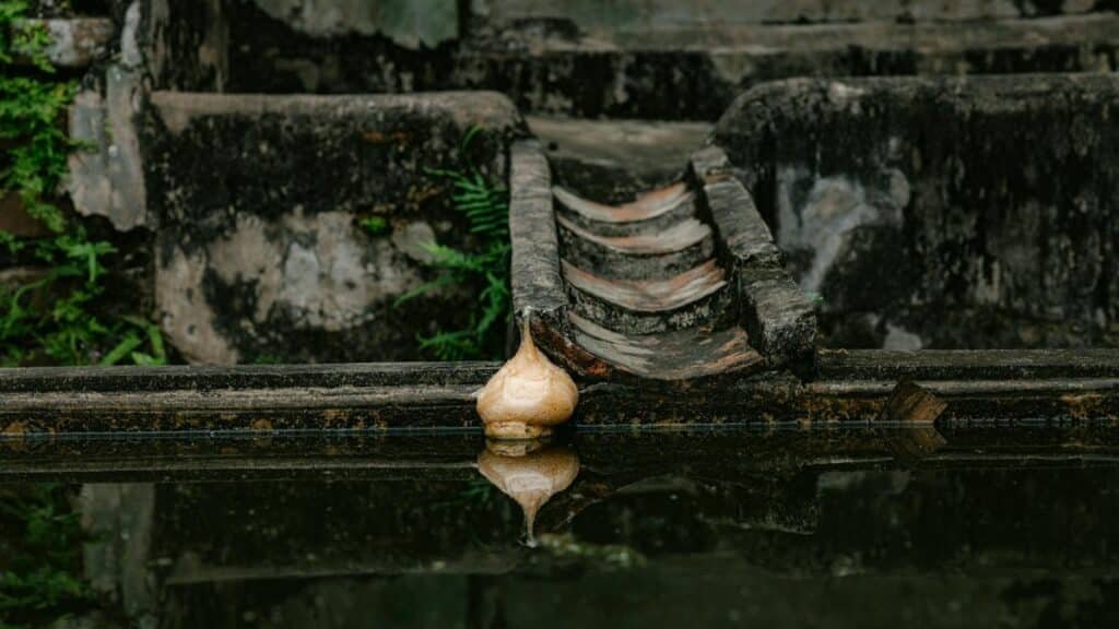 Close-up of an ancient stone water channel with moss, reflected in a still pond.