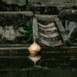 Close-up of an ancient stone water channel with moss, reflected in a still pond.