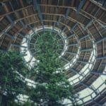 A wooden spiral architecture envelops tall evergreen trees showcasing harmony between nature and design.