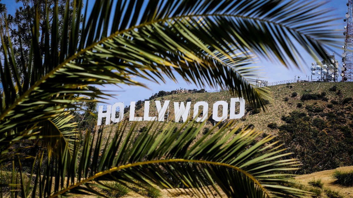 Famous Hollywood Sign framed by palm leaves on a sunny day in Los Angeles, California.