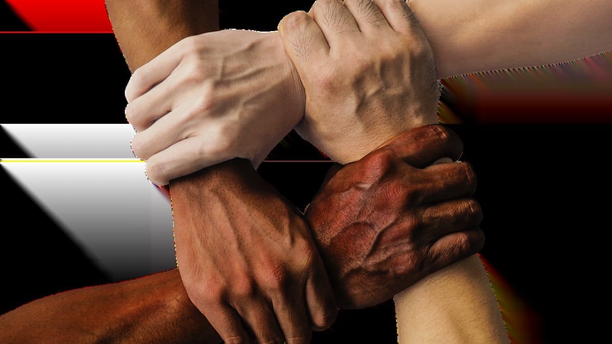 hands, team, united, together, people, unity, teamwork, group, hand in hand, union, support, friendship, cooperation, community, holding, connection, harmony, diversity, cut out, hands, hands, hands, hands, team, team, team, team, team, together, together, people, people, people, people, unity, teamwork, teamwork, group, support, support, friendship, friendship, community, community, community, community, connection, diversity, diversity, diversity, diversity