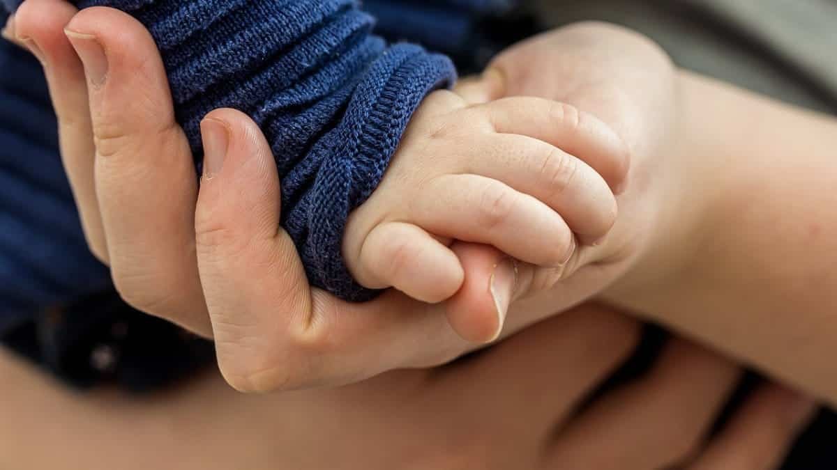 toddler hand, child's hand, hand, trust, hands, closeness, affection, hold tight, security, keep, support, prop up, connection, contact, close, relationship, connect, together, love, connect competition, trust, trust, trust, trust, trust, security, security, security, support, support, connection