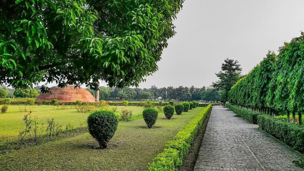 Peaceful garden pathway in India with lush greenery and clear sky, perfect for a nature walk.