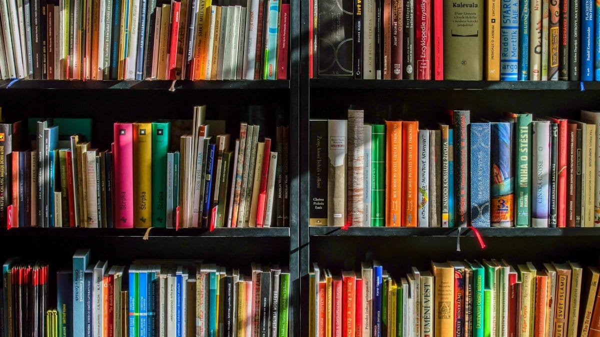 Vibrant collection of books on shelves for reading, research, and education.