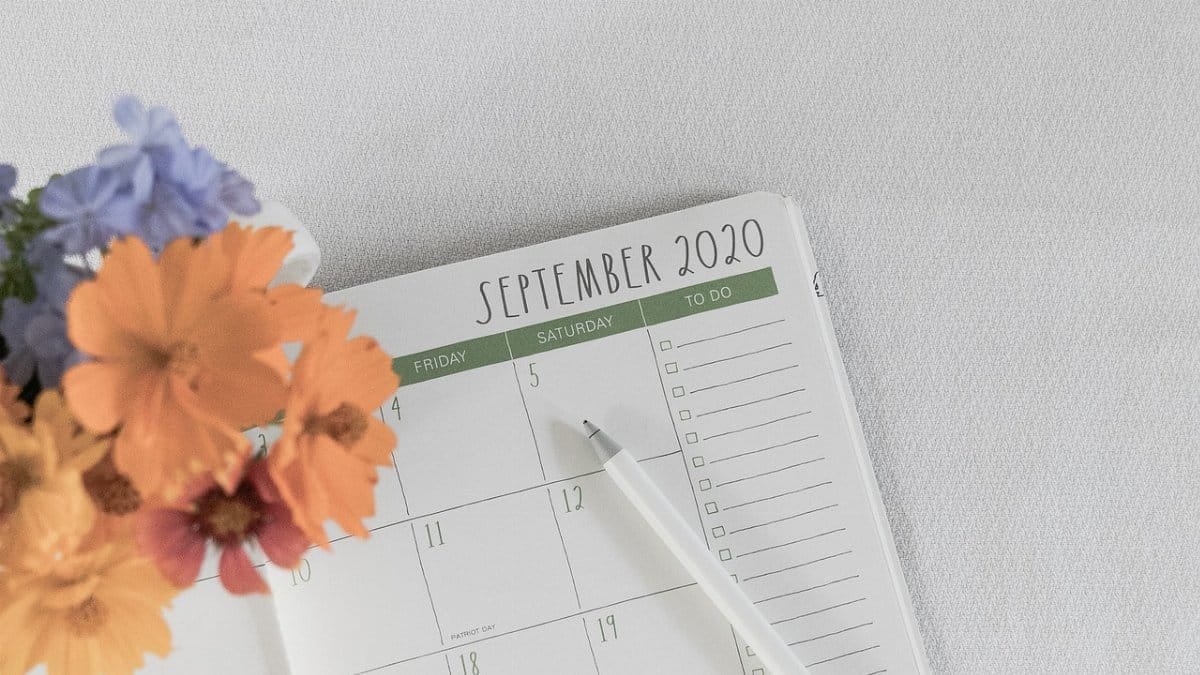 planner, september, calendar, schedule, flower background, organizer, year, months, beautiful flowers, days, planning, 2020, lists, pen, flowers, flat lay, appointment, table, routine, flower wallpaper, planner, routine, routine, nature, routine, routine, routine via Pixabay