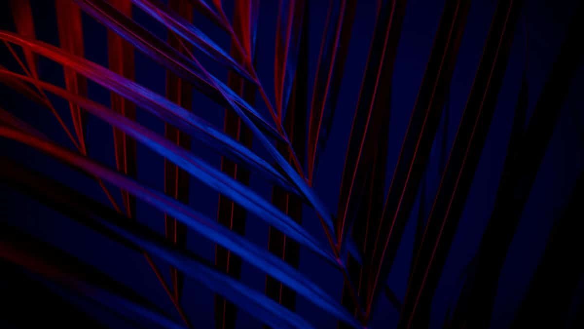 Abstract image showcasing colorful leaf patterns with dramatic lighting in dark tones.