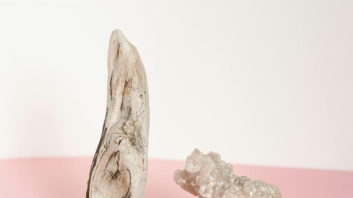 A minimalist composition featuring crystals and driftwood, perfect for art and decor.