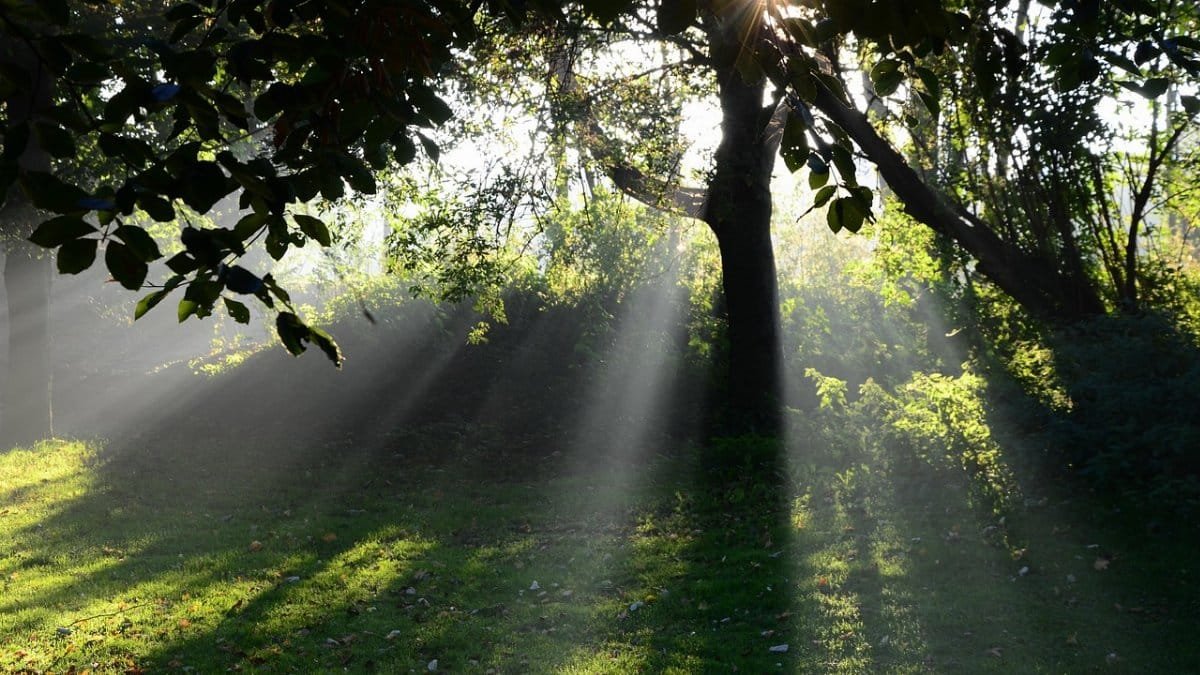 sun, morning, landscape, nature, fog, rising sun, light, rising sun, rising sun, rising sun, rising sun, rising sun