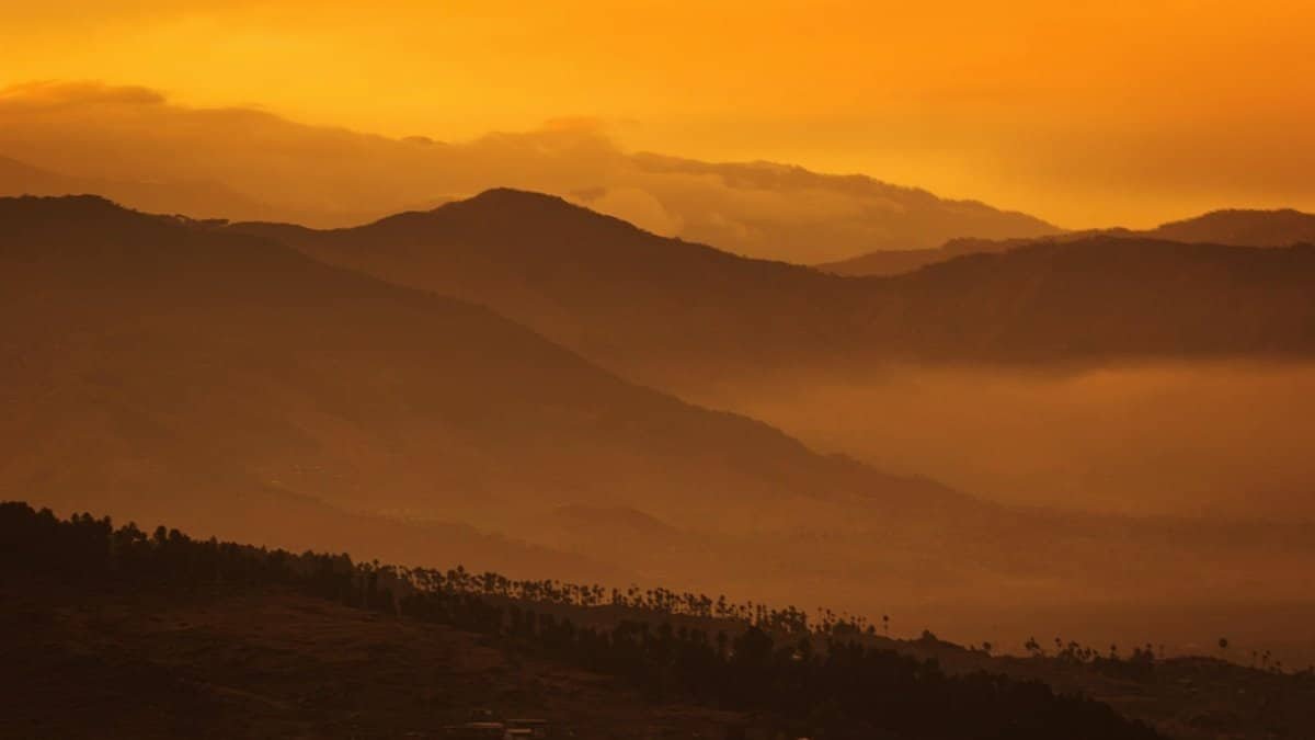 sunset, nature, forest, clouds, mountains, wilderness, dusk, outdoors, woods, forest, forest, forest, wilderness, wilderness, wilderness, wilderness, wilderness via Pixabay